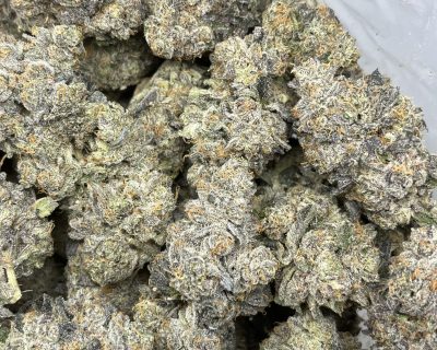 GAS BASKET 3 (PACIFIC BUD BOYS) - Image 3